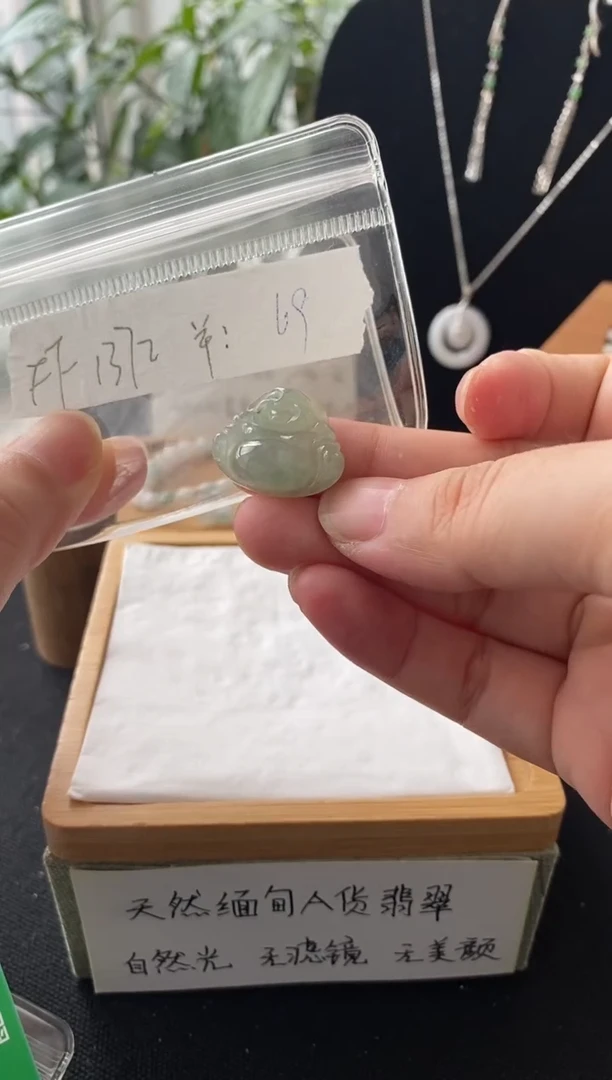 翡翠未镶嵌吊坠(不含链)FF1372