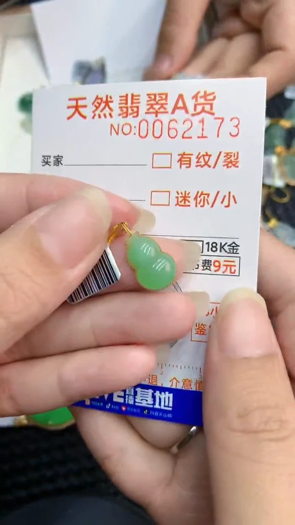 【闪购商品】翡翠颈饰18K金镶嵌            8