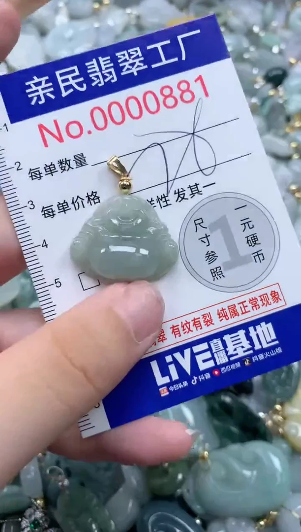 翡翠未镶嵌吊坠(不含链)881