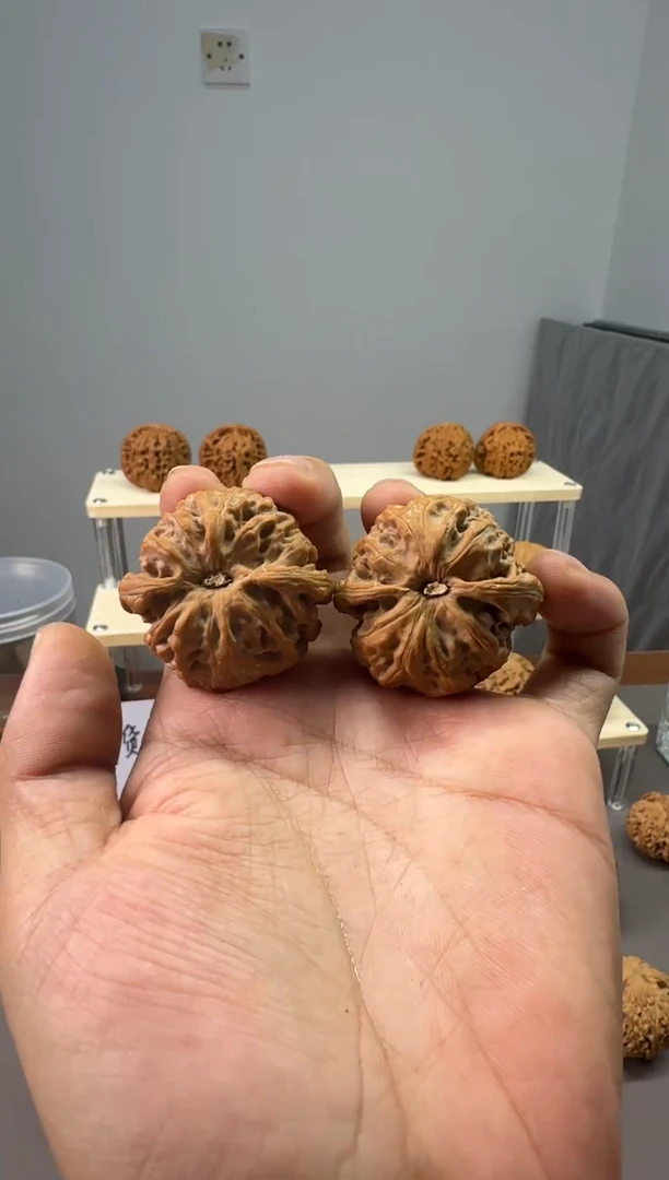 小**儿12.22   40全品苹果园