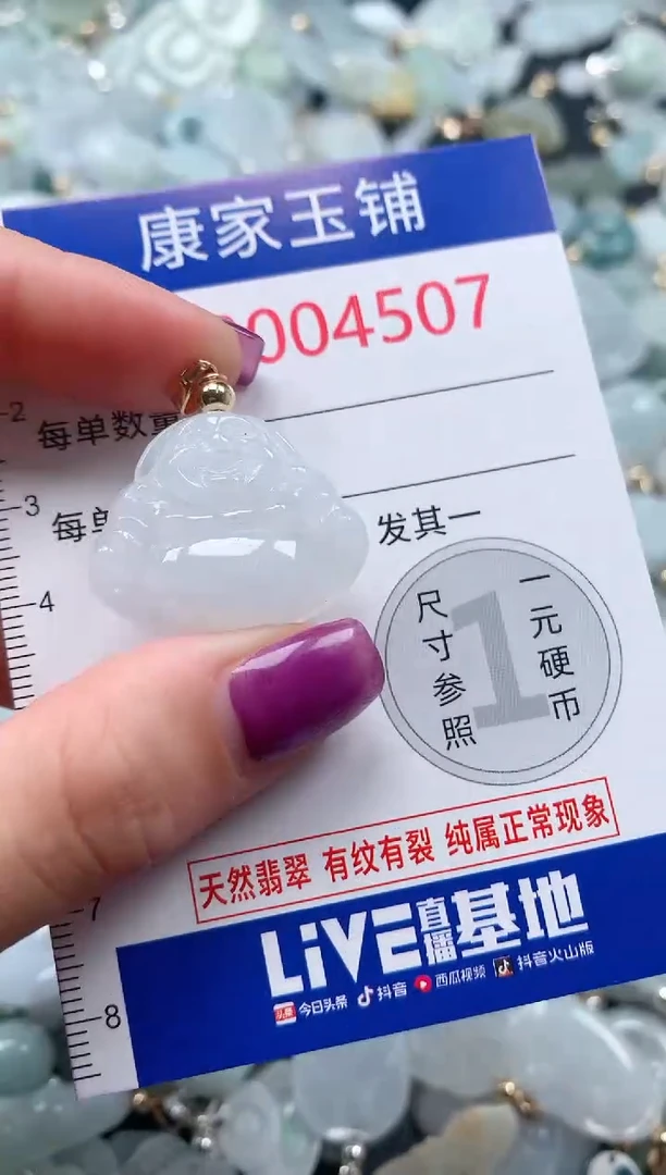 颈饰未镶嵌翡翠4507