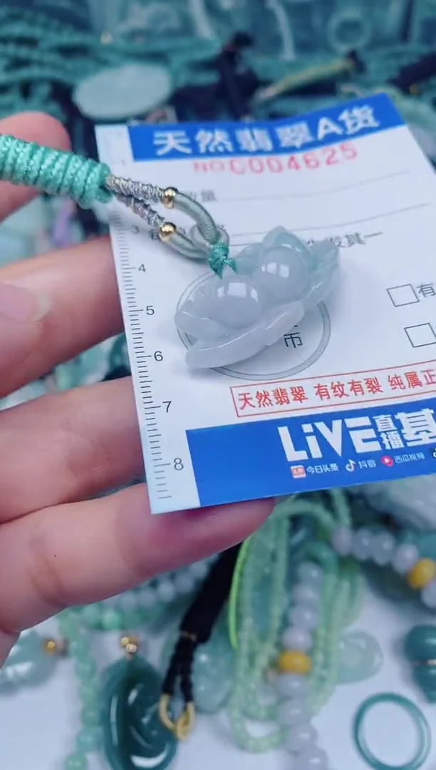 颈饰未镶嵌翡翠00004625