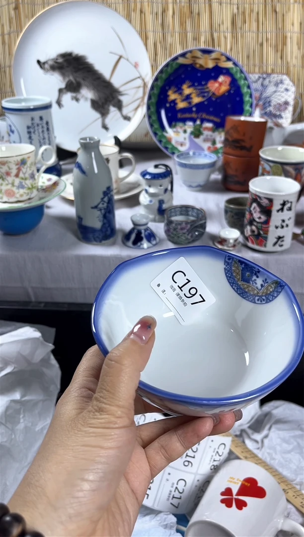 【闪购商品】碟              c197