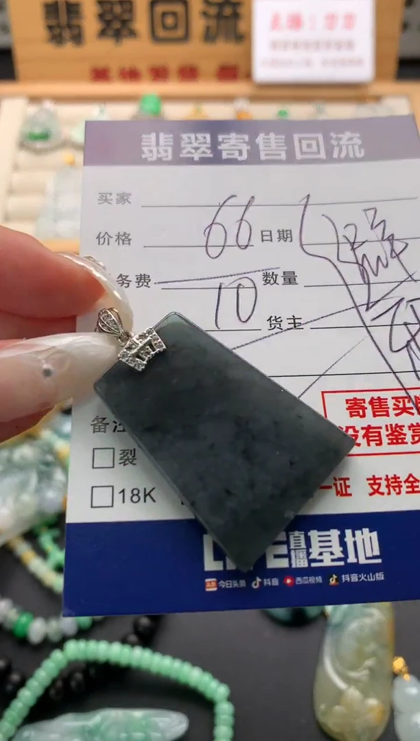 翡翠银S925镶嵌颈饰10138825