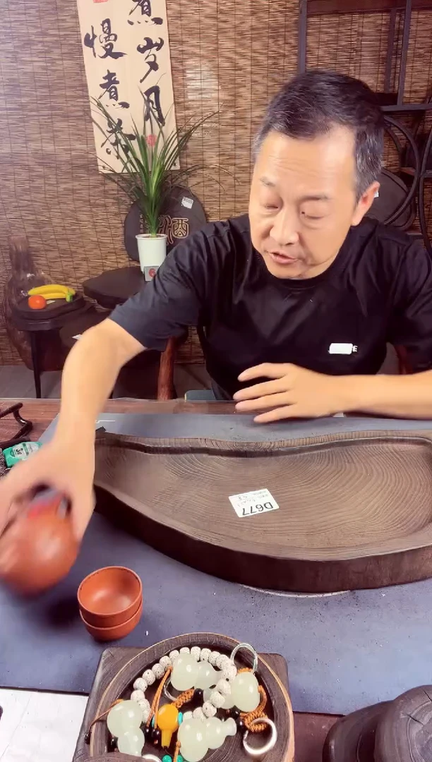 53*23银杏木677号