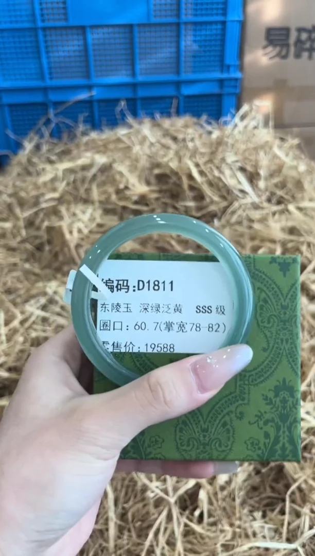 未镶嵌手镯石英质玉D1811