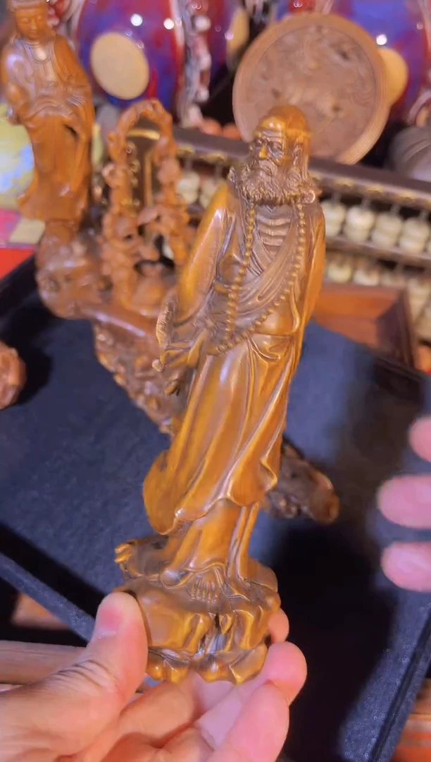 黄杨木1111111111111111111