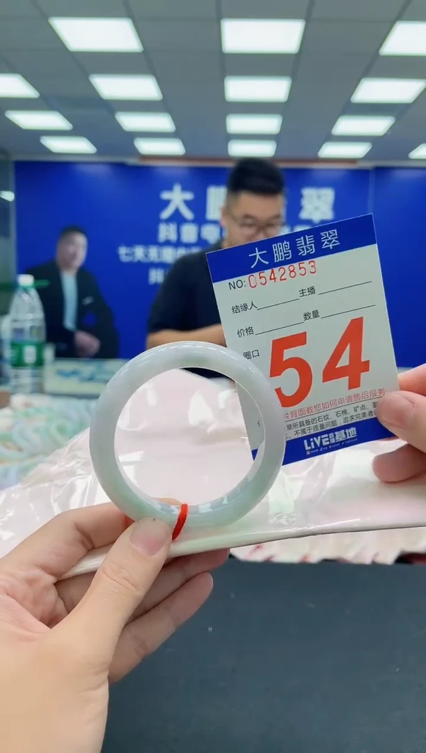 未镶嵌手镯翡翠AAAAAAAAA