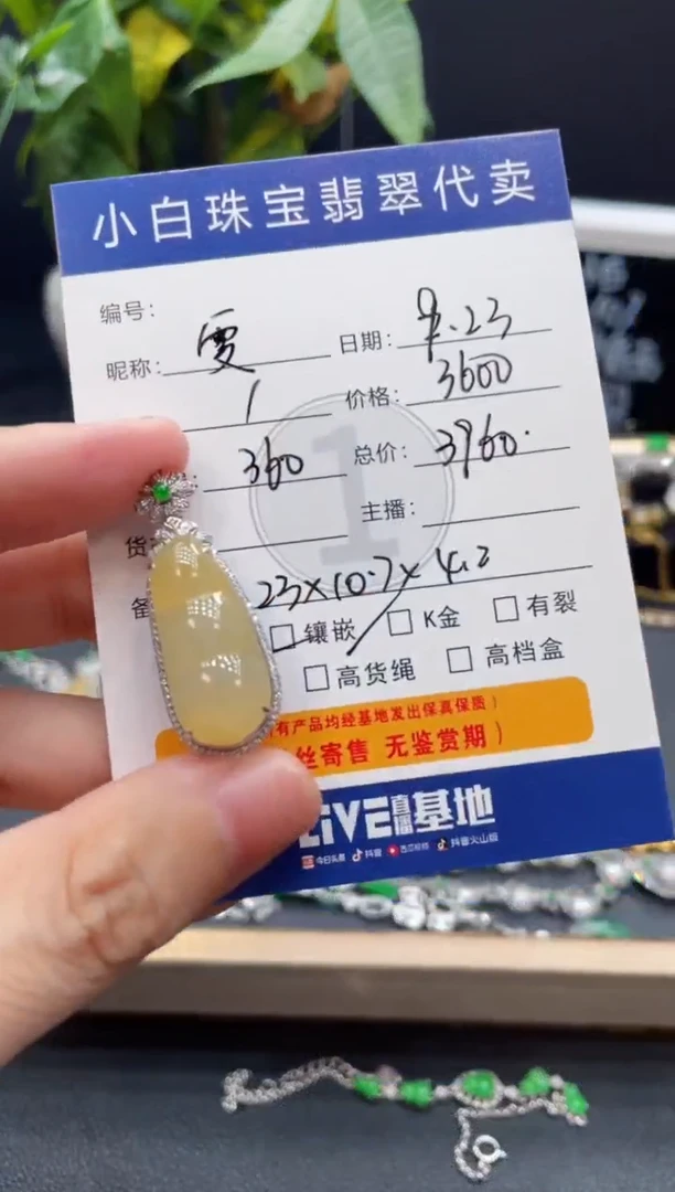 吊坠(不含链)18K金镶嵌翡翠雯*吊坠
