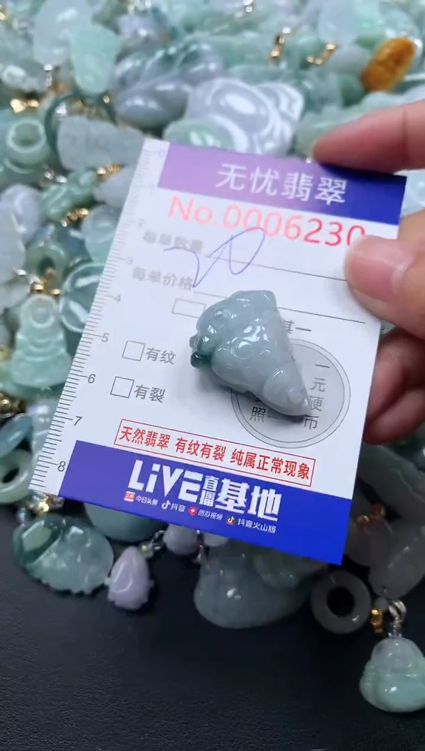 颈饰未镶嵌翡翠6230