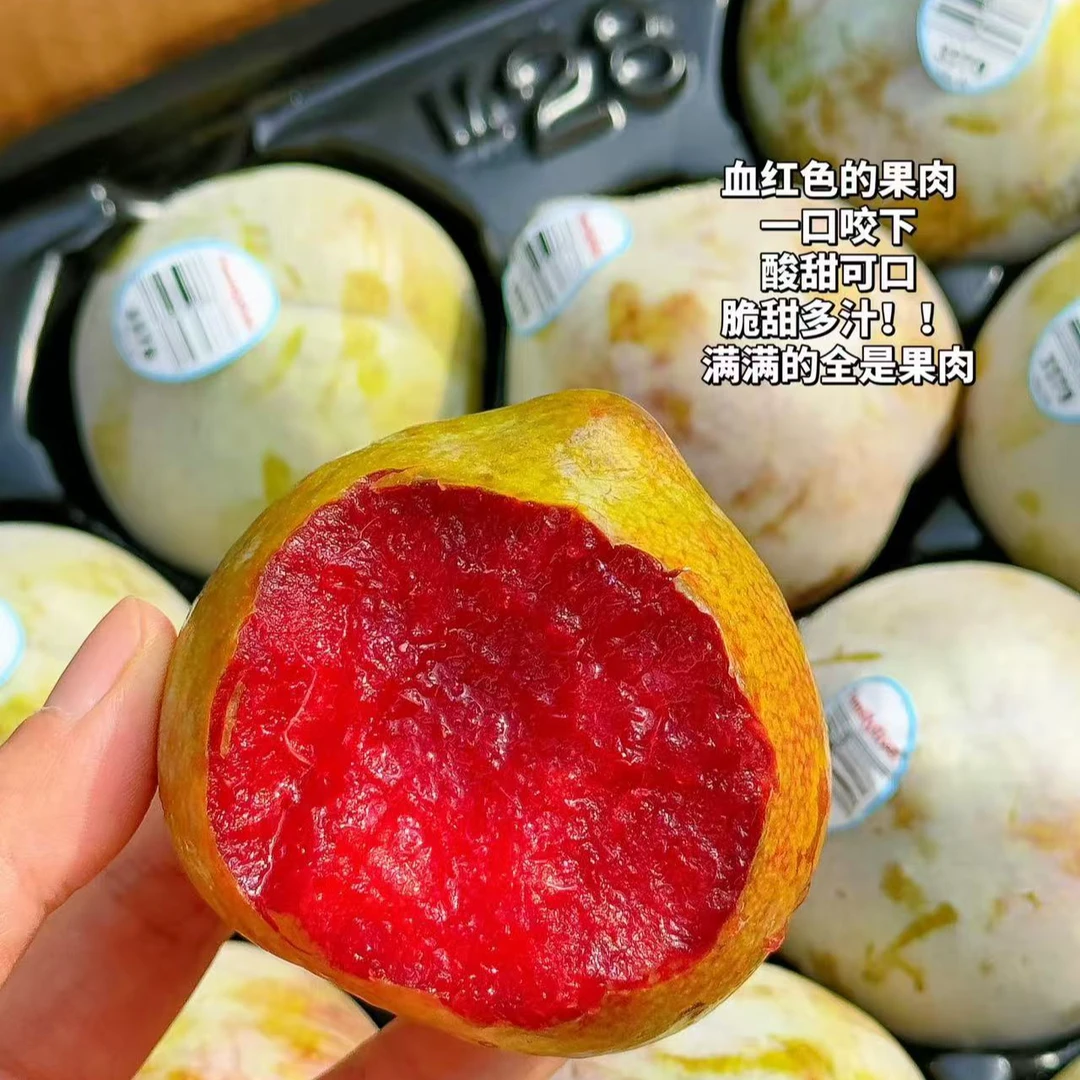 进口蜥蜴蛋李子一个