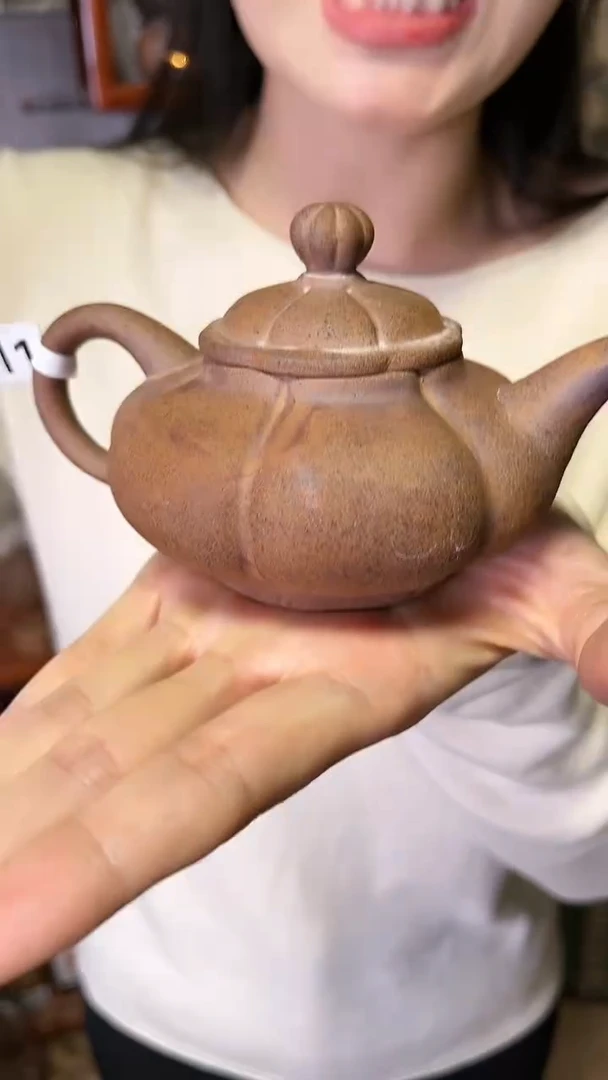 【闪购商品】H11原矿南瓜磨砂感老岩泥茶壶