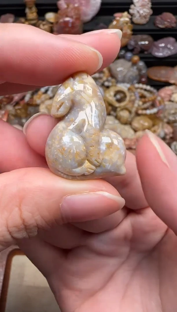 颈饰未镶嵌硅化珊瑚（珊瑚玉）479