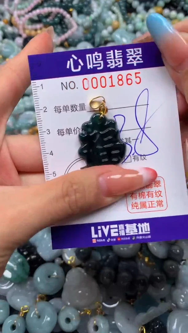 翡翠未镶嵌颈饰闪购001865