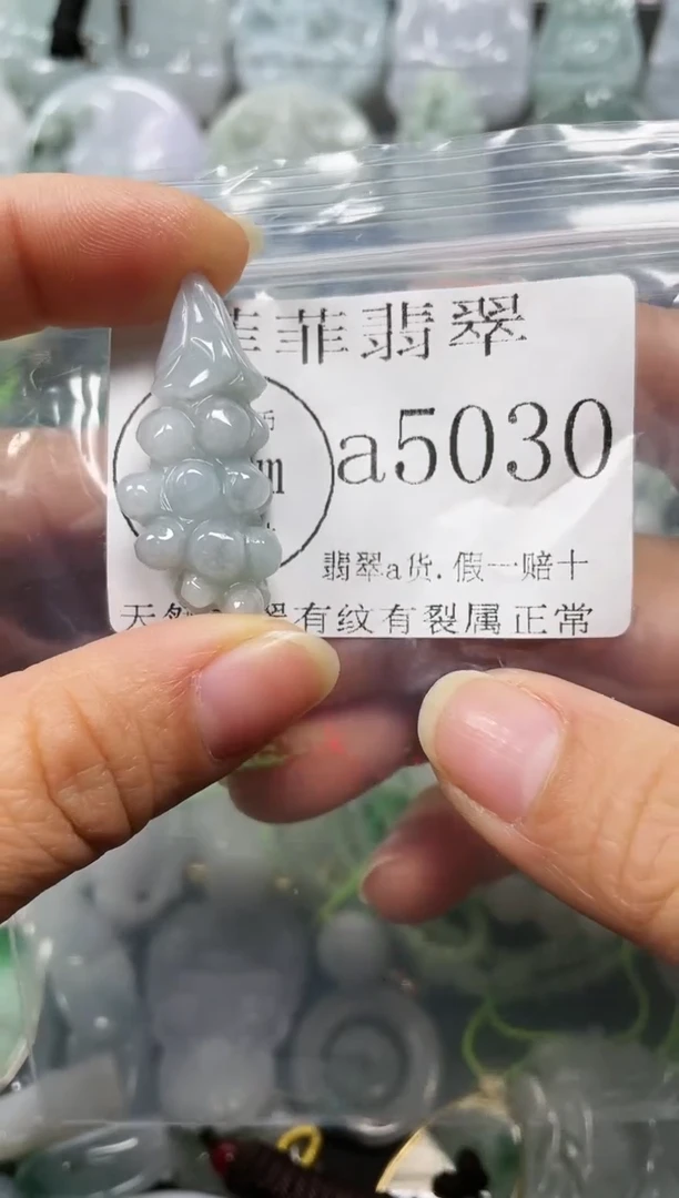 【闪购商品】翡翠颈饰未镶嵌闪购5030