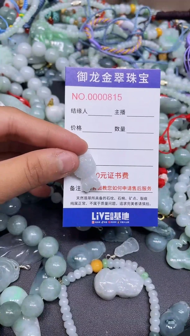 翡翠未镶嵌颈饰131