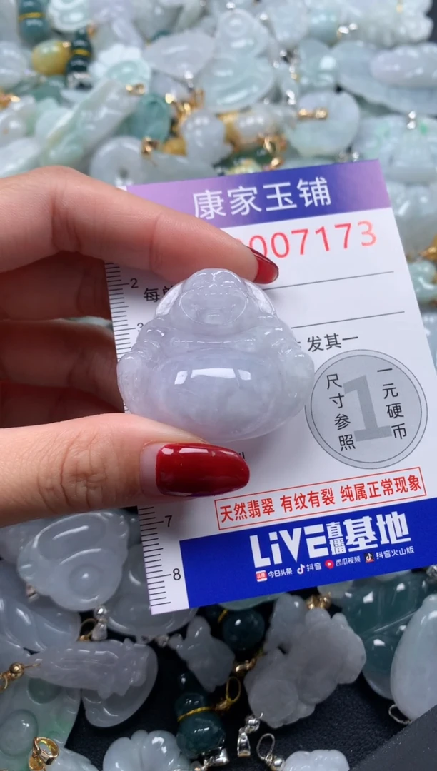 颈饰未镶嵌翡翠7173