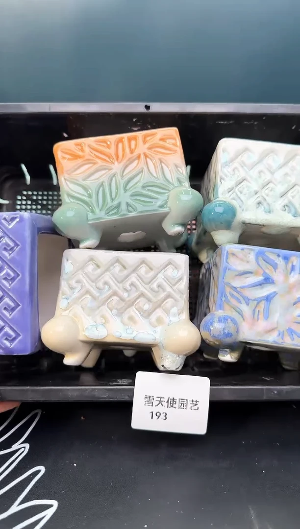 193  小蛙腿盆 5 个默认微瑕