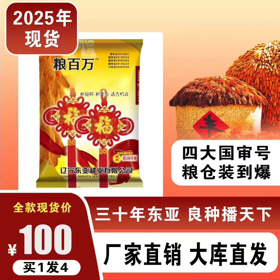 粮百万玉米种子高产耐旱优质包谷种子抗病抗倒伏国审高产粮饲通用