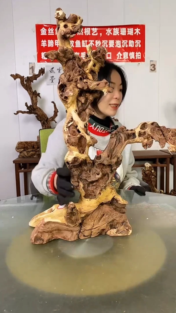 木@****?金丝红木  羊蹄甲