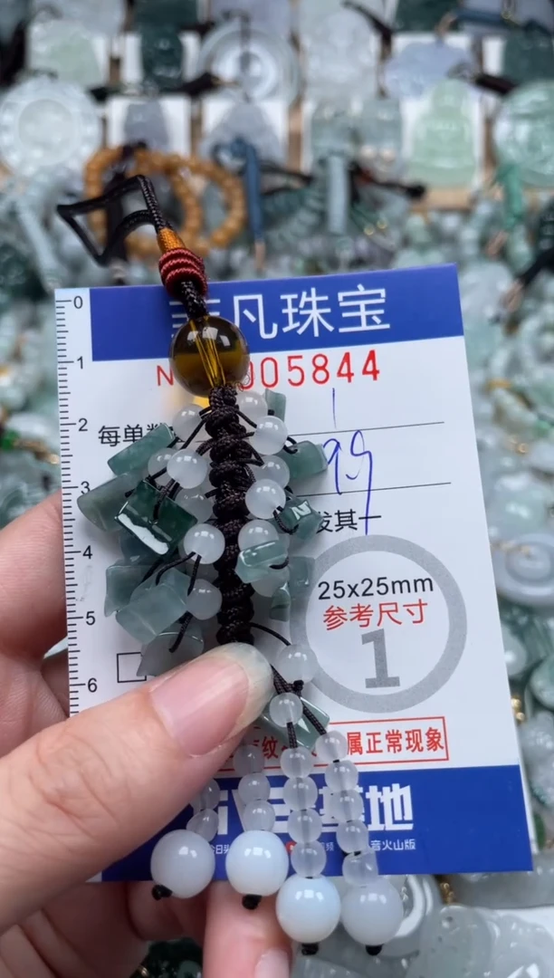 翡翠未镶嵌颈饰00..5844
