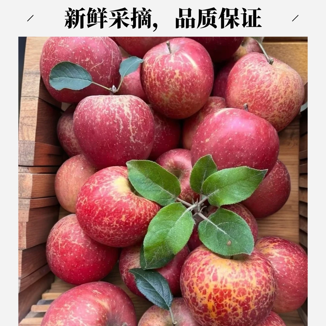 云南昭通丑苹果冰糖心苹果脆甜多汁新鲜水果