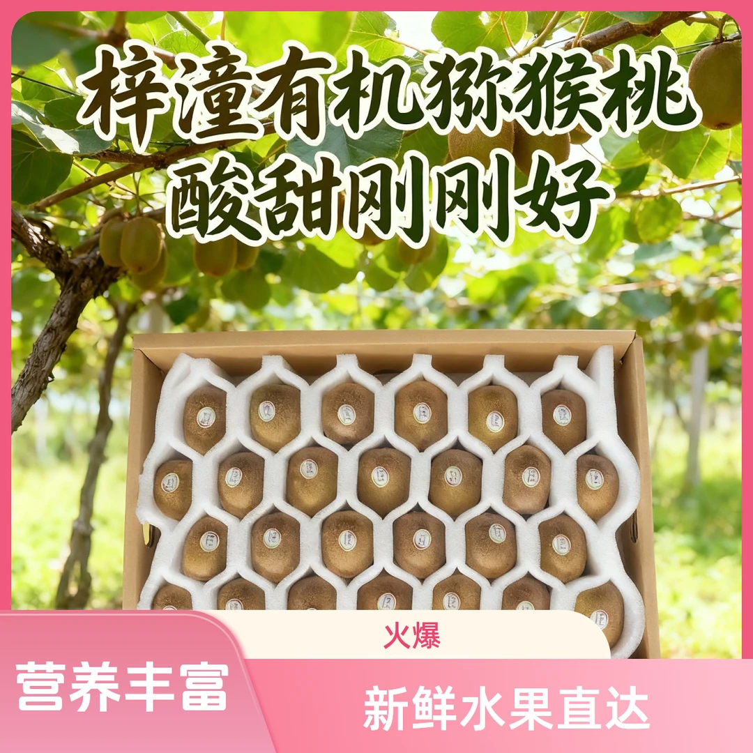 [中秋佳礼]天星有机黄心猕猴桃当季新鲜奇异果现摘现发生态种植