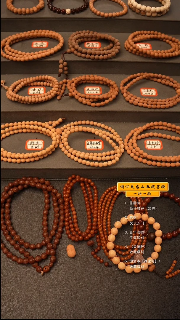 吊坠五线菩提.*.脖挂