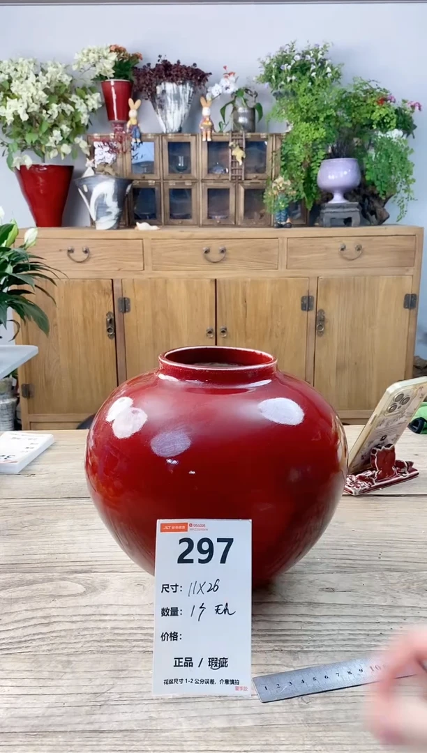 小玩子花盆直播号297