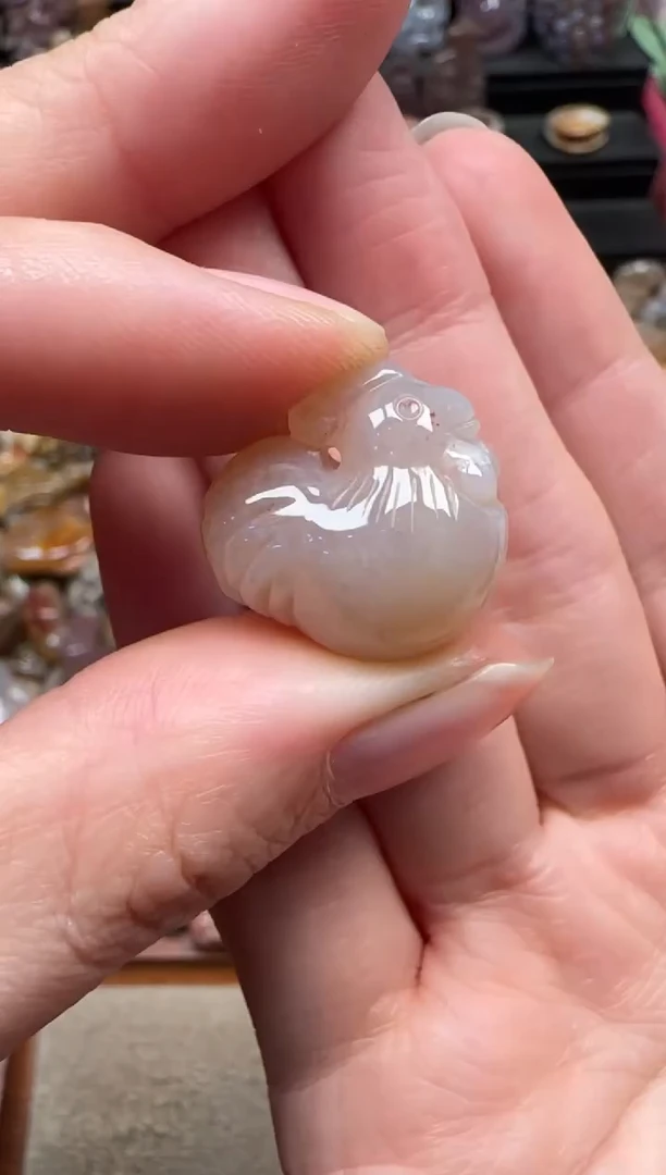 颈饰未镶嵌硅化珊瑚（珊瑚玉）776