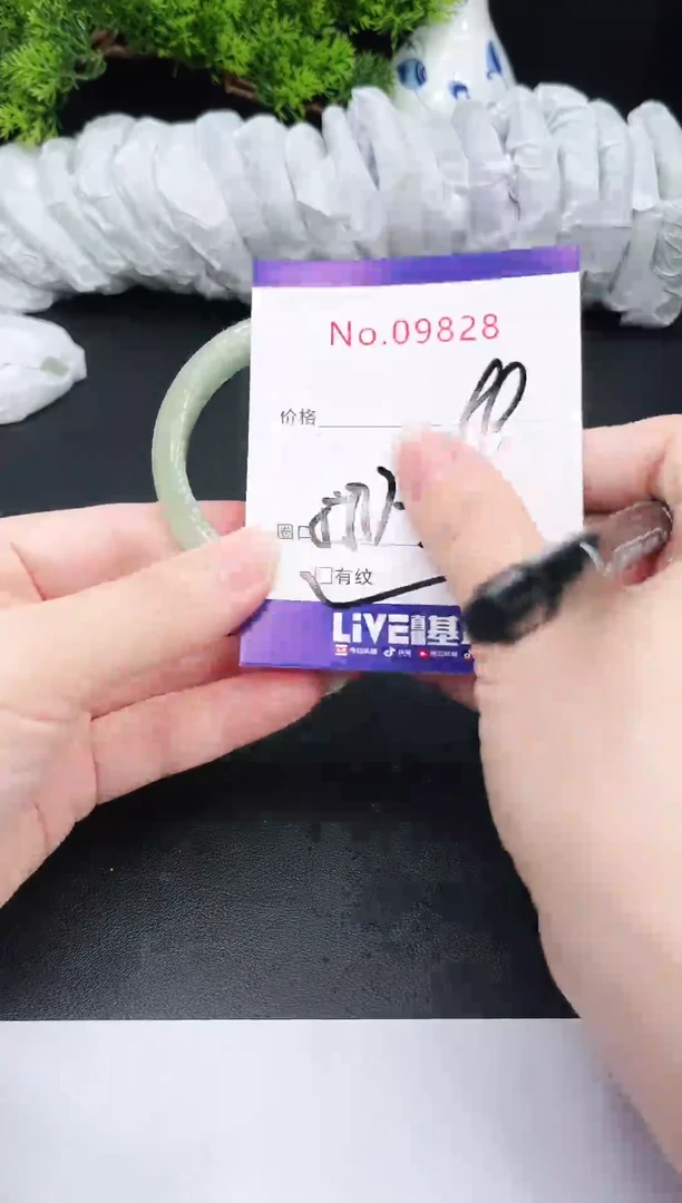 未镶嵌手镯翡翠9828