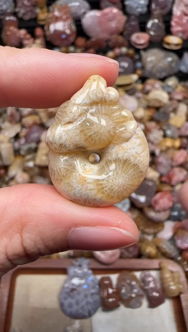 颈饰未镶嵌硅化珊瑚（珊瑚玉）355