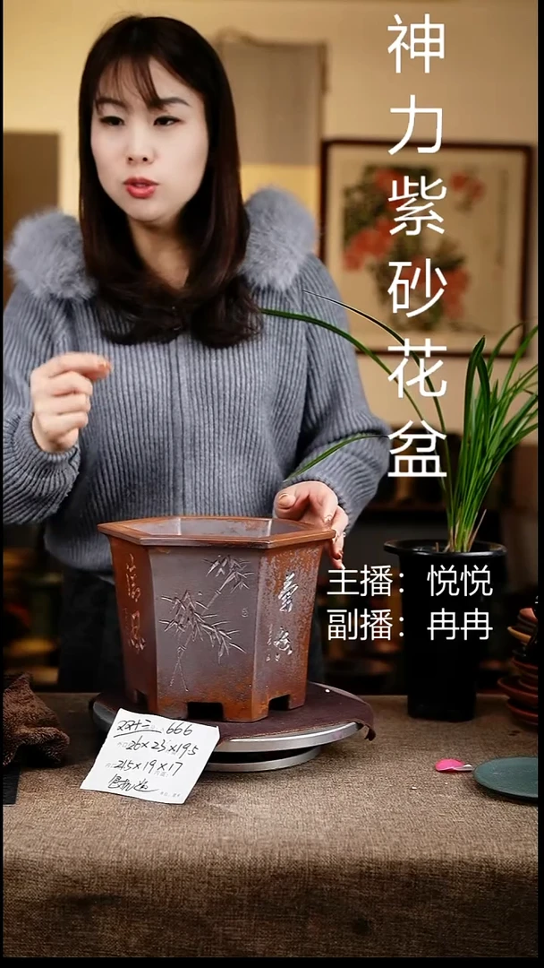 紫砂花盆花卉工艺666