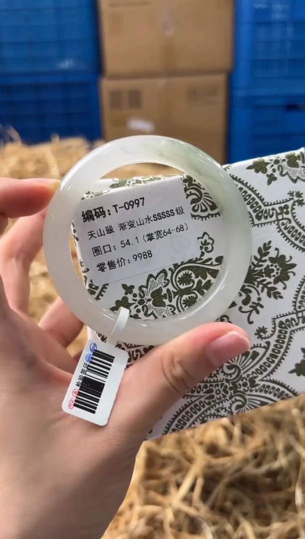 未镶嵌手镯石英质玉T-0997