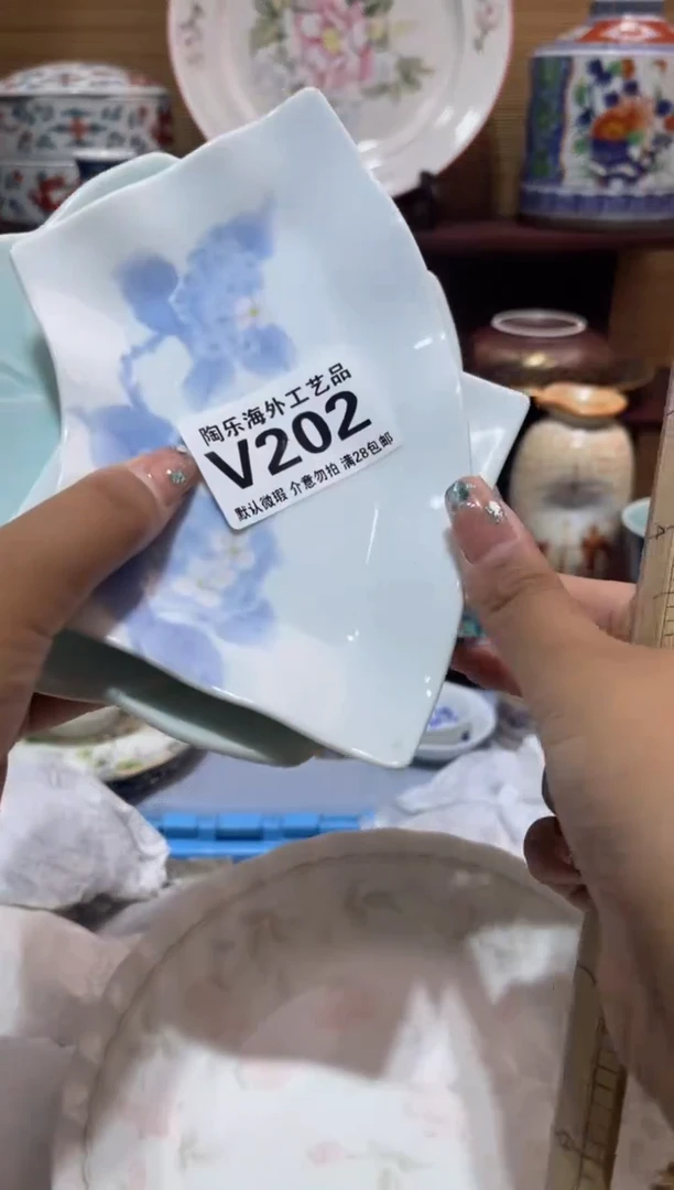 其他（**）        V202
