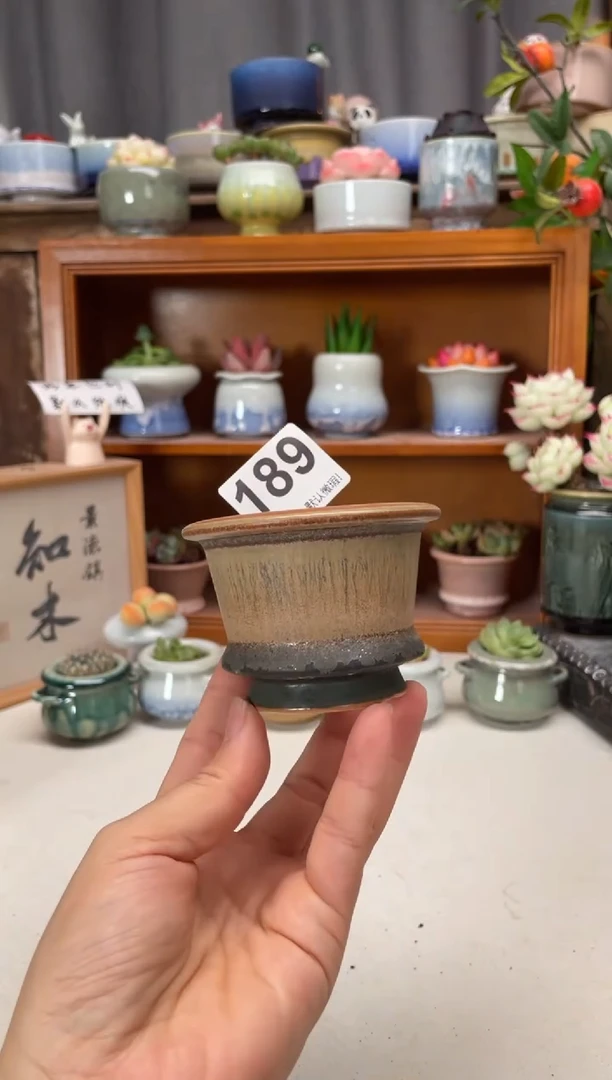 瓷片189知木小芳花盆编号