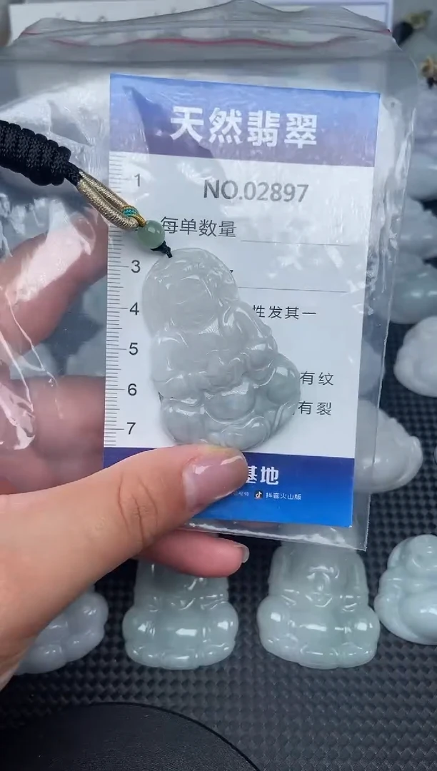 颈饰未镶嵌翡翠纯天然A货翡翠2897