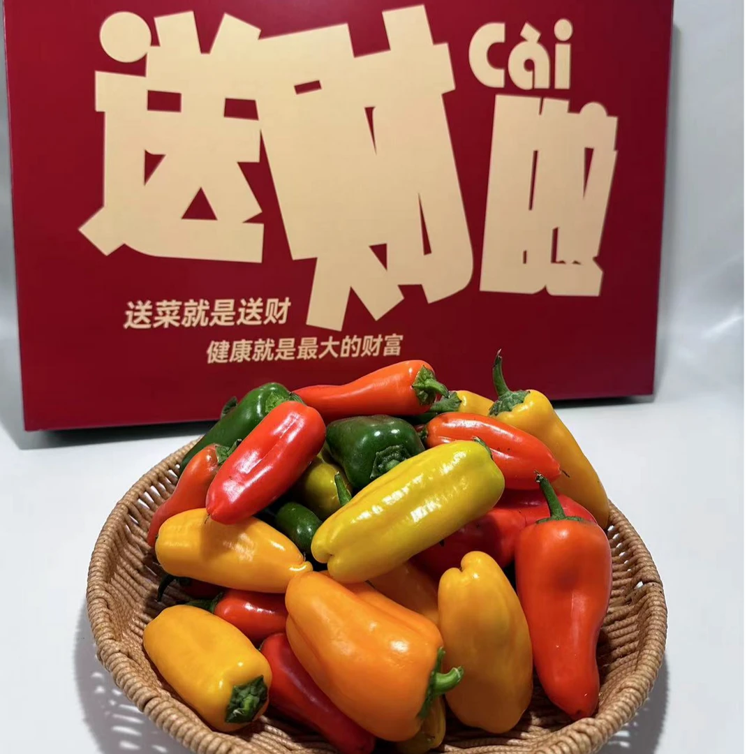 迷你水果小甜椒彩椒爽脆多汁生吃沙拉新鲜现摘1斤3斤5斤