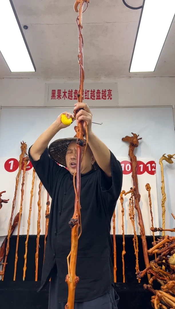 黑果木其他黑果木529