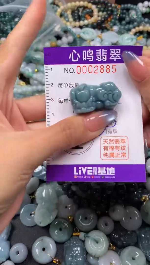 颈饰未镶嵌翡翠闪购002885