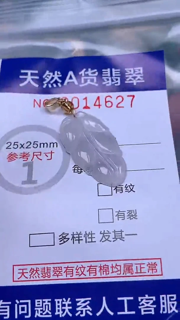 吊坠(赠链)未镶嵌翡翠1