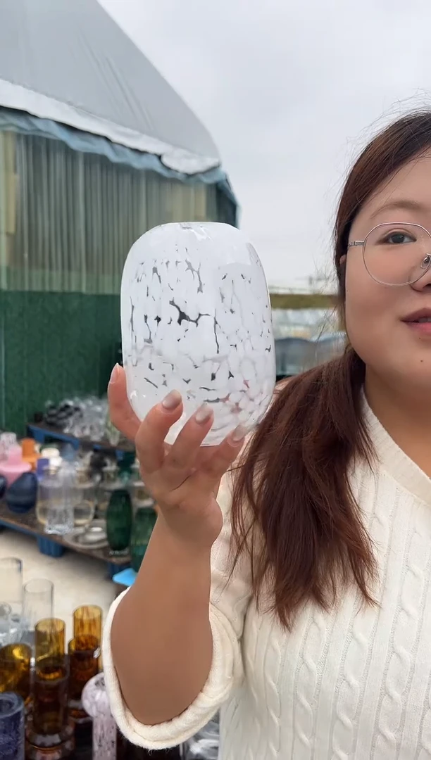 花瓶客厅餐桌插花装饰好物一只