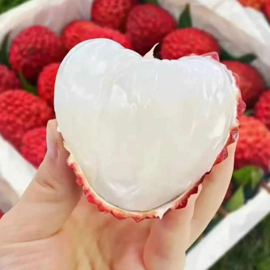 顺丰快递【正宗火山岩荔枝王】火山口核心产区荔枝王3-5斤装