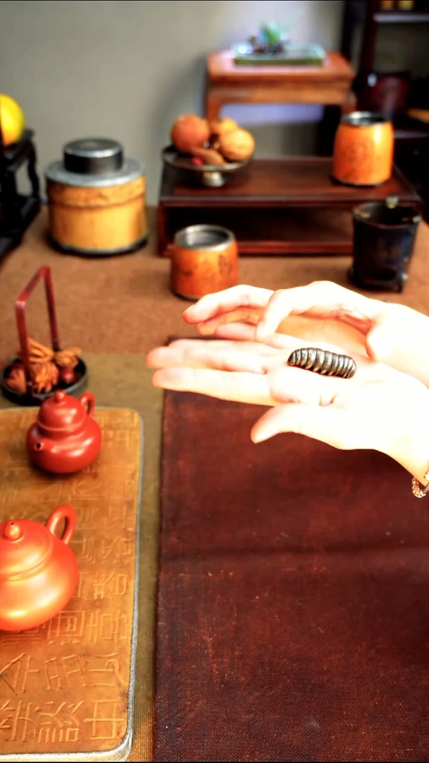 8676纯锡毛毛虫搁置