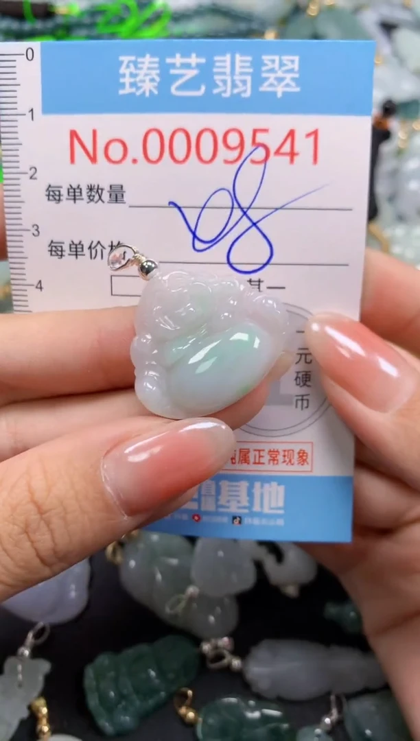 颈饰未镶嵌翡翠9541