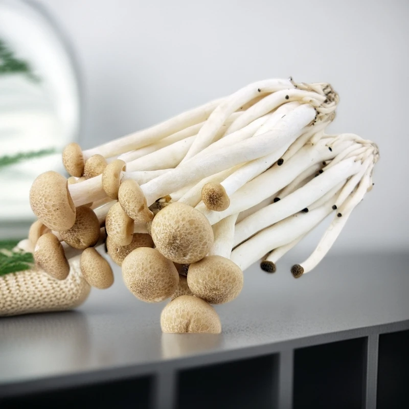 【精品】蟹味菇125g新鲜