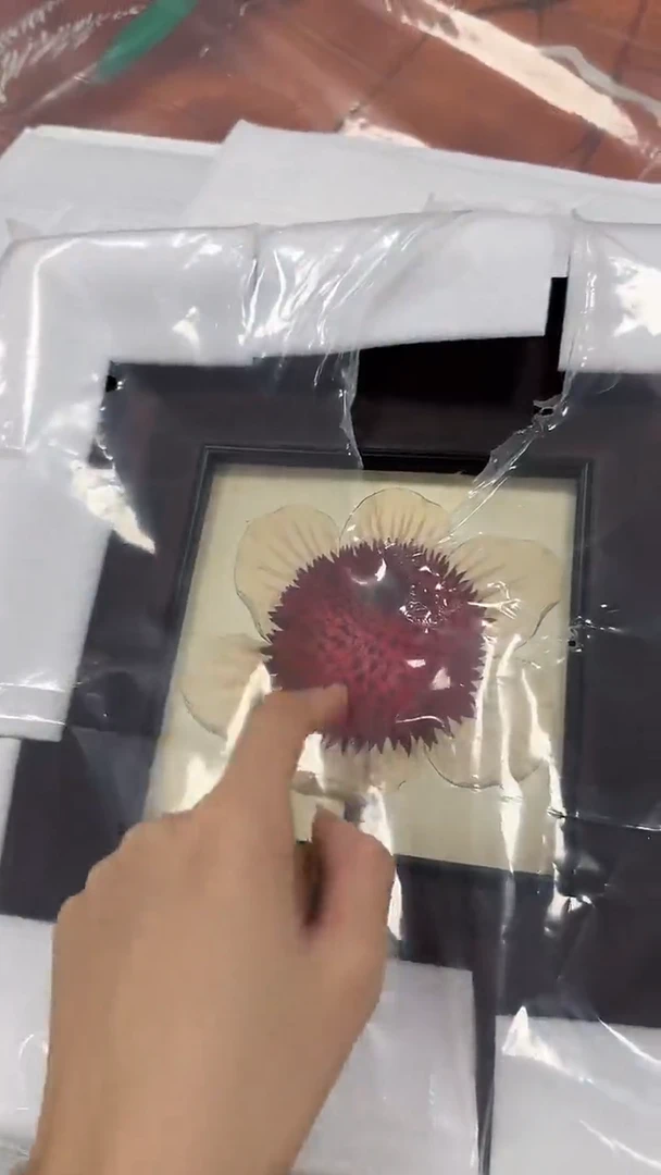 招****️仓库清货  默认瑕疵