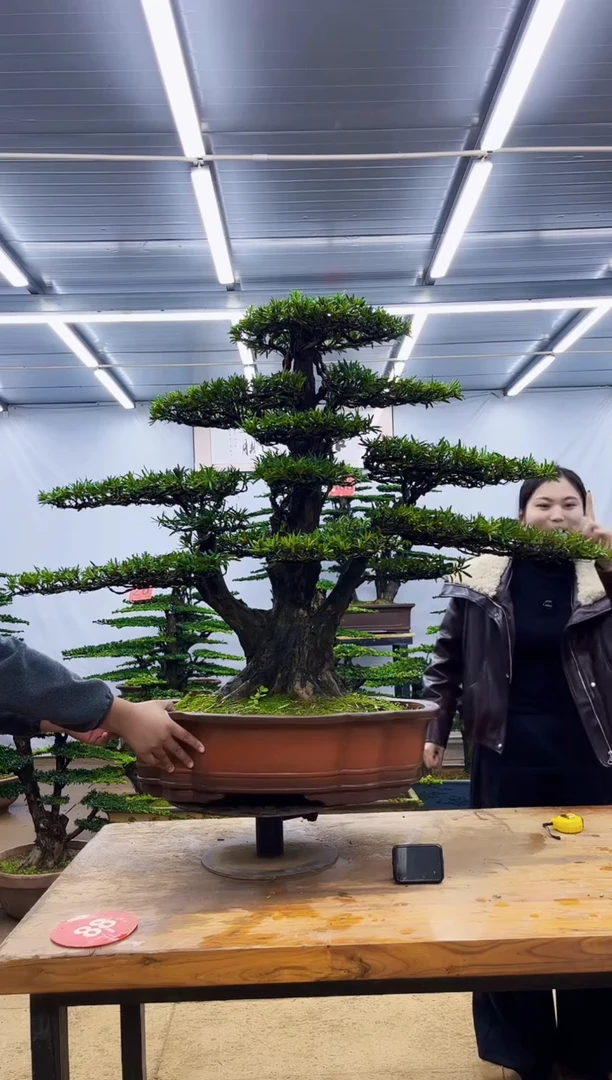 无花朵p****r一物一拍，所见即所得