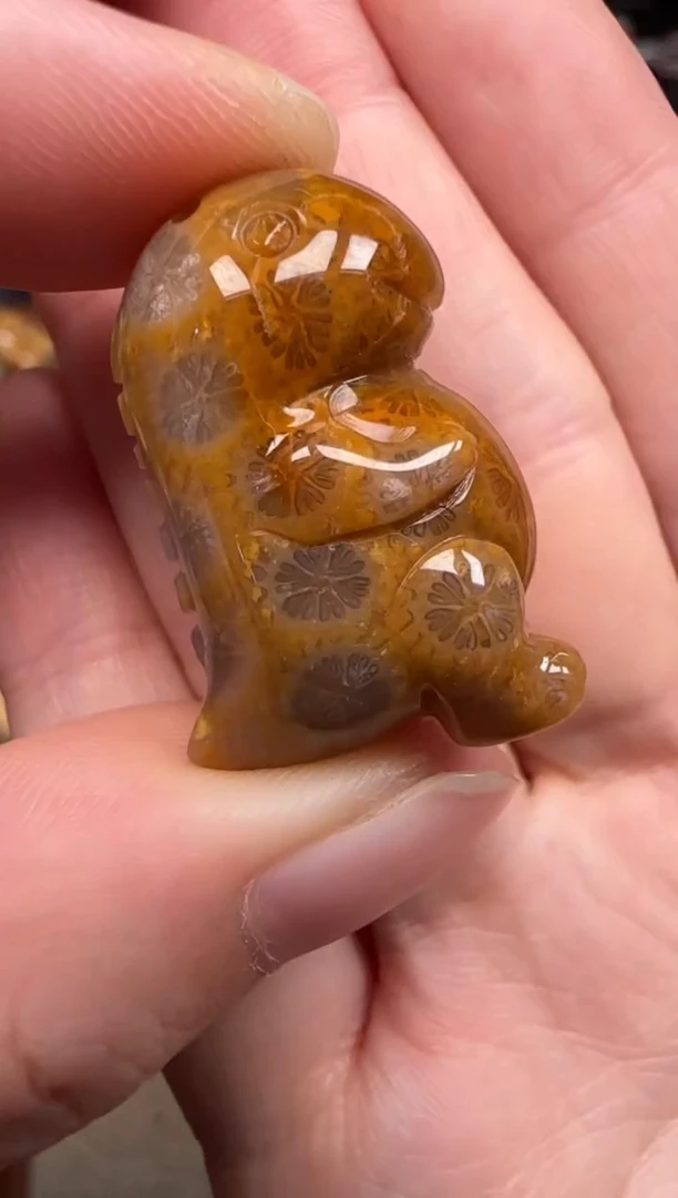 硅化珊瑚（珊瑚玉）未镶嵌颈饰140