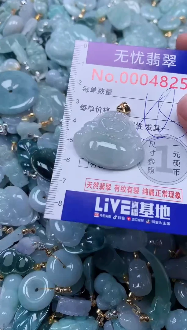 颈饰未镶嵌翡翠4825